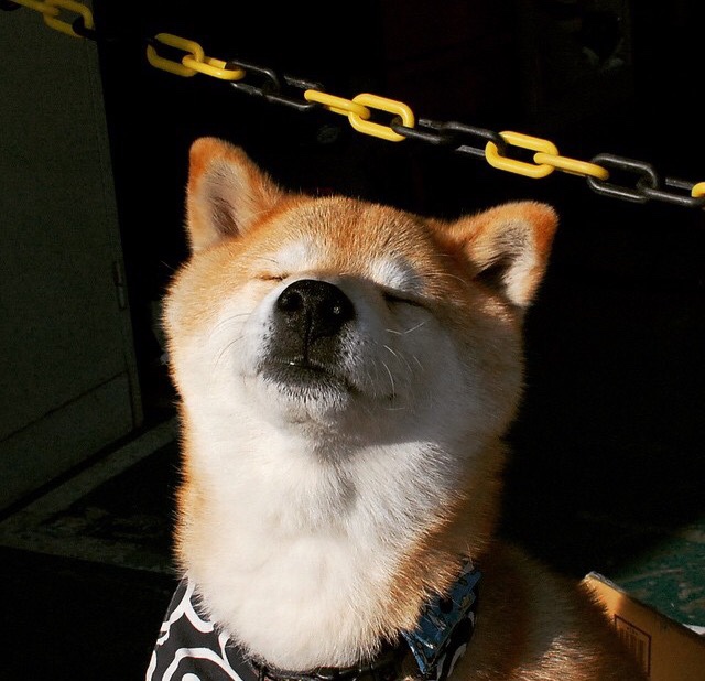 开云官方网页登录-_网球明星慈善大会，传递爱心与正能量_，网球赞助商