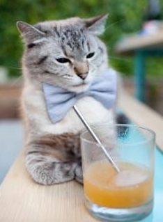 kaiyun登录入口-城市夜空摩托极限表演，灯光交织的极速盛宴，摩托车夜跑视频第一视角